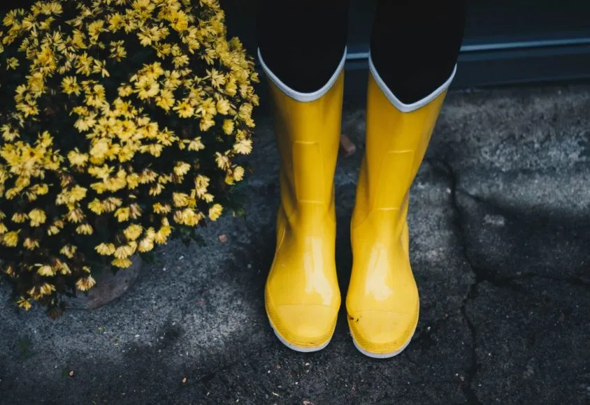 Close-up of bright yellow rain boots on a paved surface next to a potted plant with small yellow flowers; moody, muted background